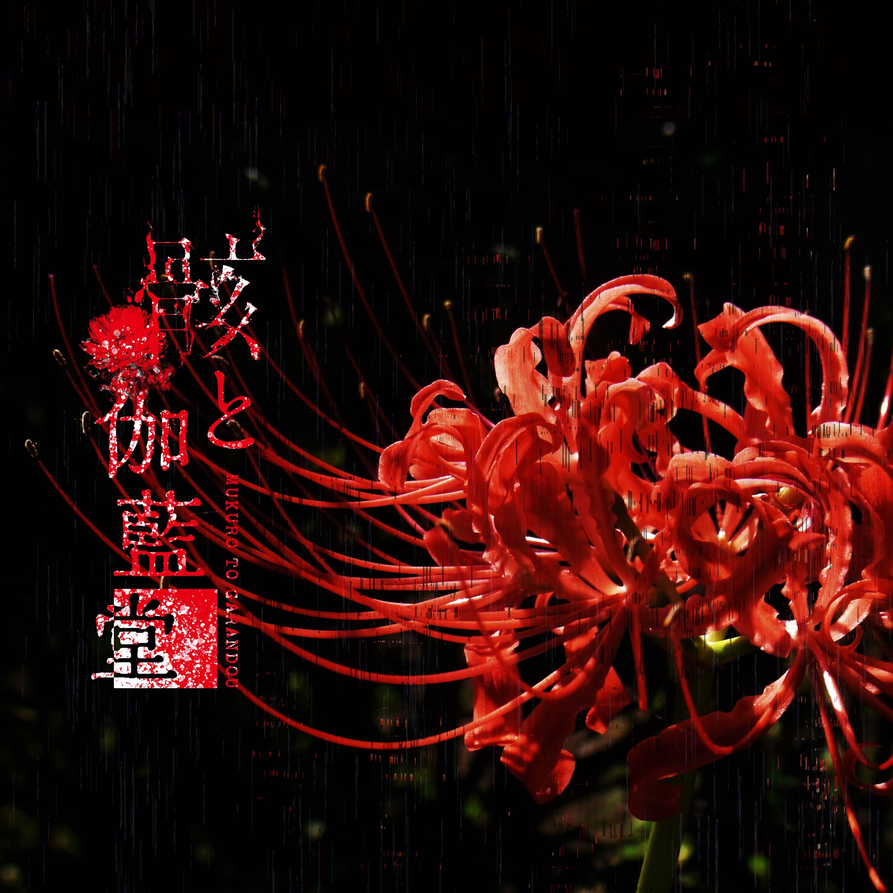 Asa_jacket_250917_1_2